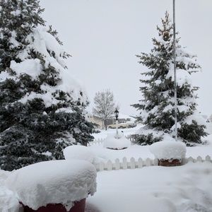 Meet your Posher, Patricia